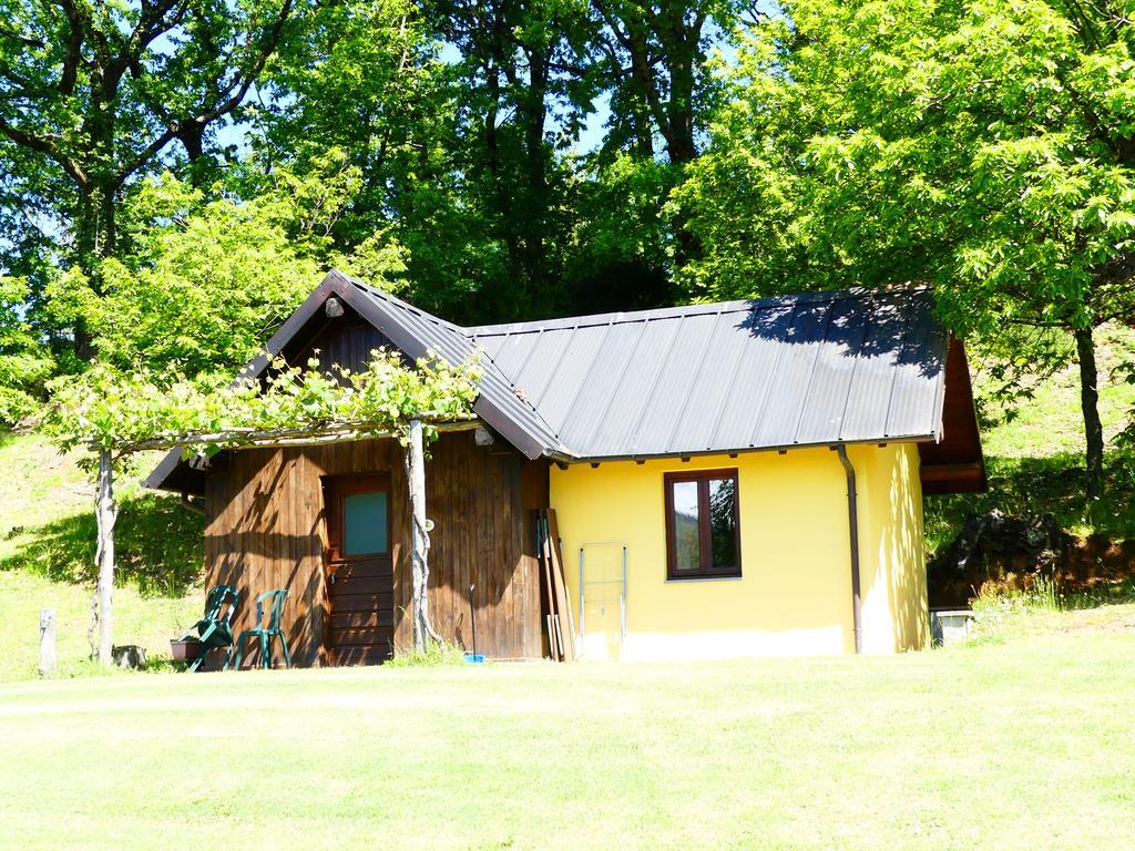 Hotel Agriturismo Braccicorti Pieve Fosciana Exterior foto